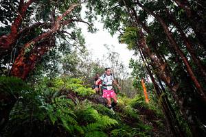 BIB: 
                            <button type="button" onclick="openModal(26201625)" class="btn btn-primary btn-sm float-right btn-popup" data-toggle="modal" data-target=".modal-high-quality">
                        <i class="fas fa-shopping-cart"></i> Add to Cart
                    </button>
                                            <button type="button" onclick="isThisMe(26201625, true)" class="btn btn-success btn-sm float-right btn-popup btn-isme hidden" data-toggle="tooltip" data-placement="bottom" title="นี่คือรูปของคุณใช่ไหม คลิกที่นี่เพื่อเอาเข้าอัลบั้ม">
                        <i class="fas fa-plus"></i> Add to album
                    </button>
                    <button type="button" onclick="isThisMe(26201625, false)" class="btn btn-warning btn-sm float-right btn-popup btn-isnotme hidden">
                        <i class="fas fa-ban"></i> Remove from album
                    </button>